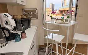 Max Fox Suite